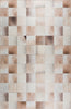 Nourison Machine Washable Series 1 SR103 Ivory/Latte Area Rug by Nicole Curtis Main Image