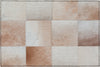 Nourison Machine Washable Series 1 SR103 Ivory/Latte Area Rug by Nicole Curtis Scatter Main Image