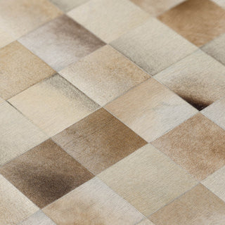 Nourison Machine Washable Series 1 SR103 Ivory/Latte Area Rug by Nicole Curtis Swatch Image