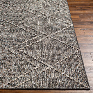 Livabliss Sarasota SSO-2306 Area Rug Angle