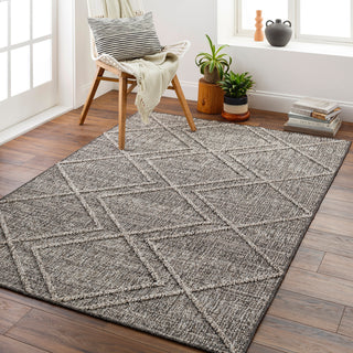 Livabliss Sarasota SSO-2306 Area Rug Room Scene Feature