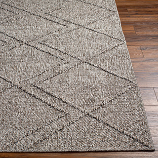 Livabliss Sarasota SSO-2307 Area Rug Angle