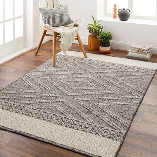 Livabliss Sarasota SSO-2309 Area Rug Room Scene Feature