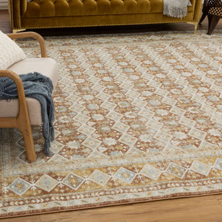 Karastan Windermere Staveley Terracotta Area Rug 