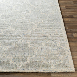 Surya Starlit STR-2306 Area Rug Angle