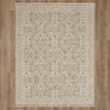 Karastan Surrey Hills Sunningdale Beryl Area Rug Main Image
