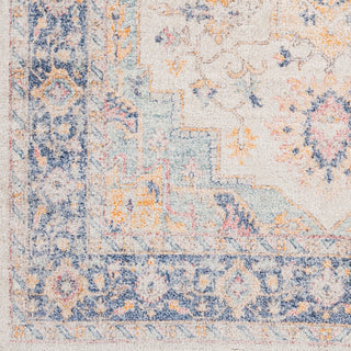 Surya Sivas SVS-2301 Area Rug Swatch