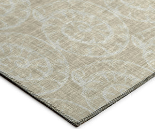 Dalyn Seabreeze SZ11 Taupe Area Rug