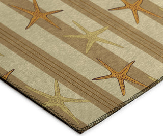 Dalyn Seabreeze SZ12 Beige Area Rug