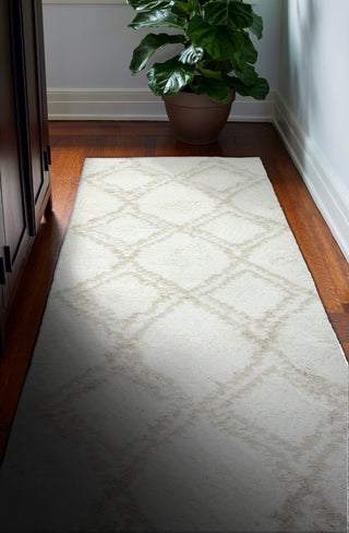 Bashian Tangier T141-HB294 Ivory/Beige Area Rug