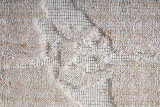 Feizy Aldrich T8019 Tan/Ivory Area Rug by Thom Filicia Corner Image