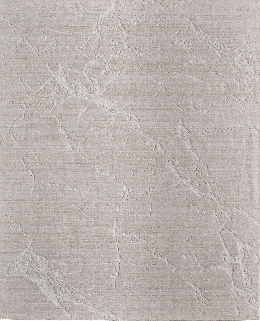 Feizy Aldrich T8019 Tan/Ivory Area Rug by Thom Filicia main image