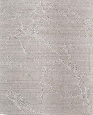 Feizy Aldrich T8019 Tan/Ivory Area Rug by Thom Filicia main image