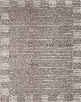 Feizy Herrick T8021 Taupe/Ivory/Brown Area Rug by Thom Filicia main image