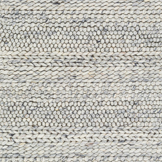 Surya Tahoe TAH-3709 Area Rug Swatch