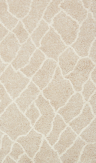 Loloi Tangier Shag TG-01 Sand/Beige Area Rug Main Image