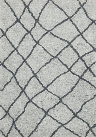 Loloi Tangier Shag TG-03 Mist/Grey Area Rug Main Image