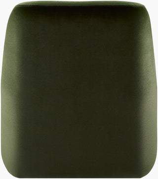 Surya Tasa TASA-001 Dark Green / Furniture Main Image