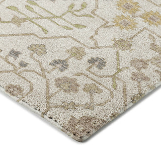 Dalyn Tabrook TB12 Ivory Area Rug Corner Image