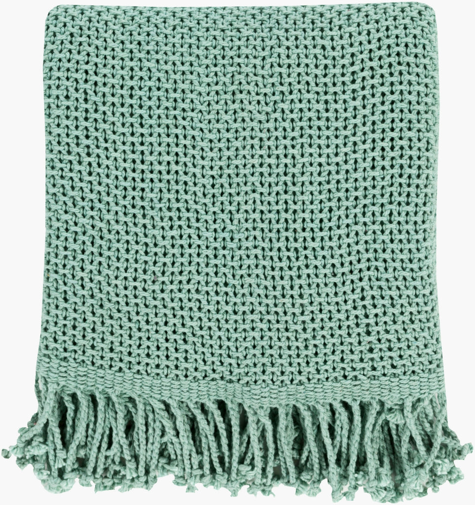 Livabliss Tibey TBE-5000 Aqua Throw main image