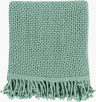 Livabliss Tibey TBE-5000 Aqua Throw main image