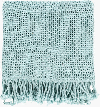 Livabliss Tibey TBE-5001 Ice Blue Throw main image