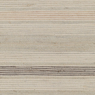 Surya Trabzon TBO-2300 Area Rug Swatch