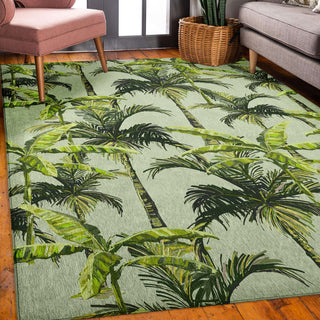 Dalyn Tropics TC10 Aloe Area Rug