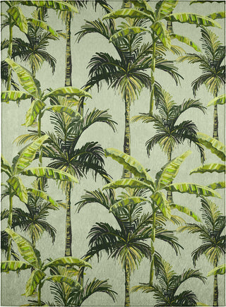 Dalyn Tropics TC10 Aloe Area Rug