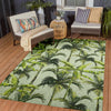 Dalyn Tropics TC10 Aloe Area Rug