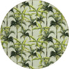 Dalyn Tropics TC10 Aloe Area Rug