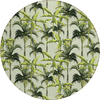 Dalyn Tropics TC10 Aloe Area Rug