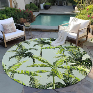 Dalyn Tropics TC10 Aloe Area Rug