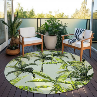 Dalyn Tropics TC10 Aloe Area Rug