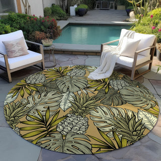 Dalyn Tropics TC11 Clay Area Rug