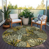 Dalyn Tropics TC11 Clay Area Rug