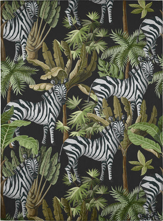 Dalyn Tropics TC13 Black Area Rug