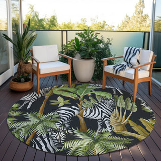 Dalyn Tropics TC13 Black Area Rug