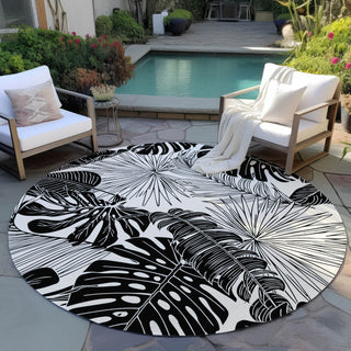 Dalyn Tropics TC16 Eclipse Area Rug