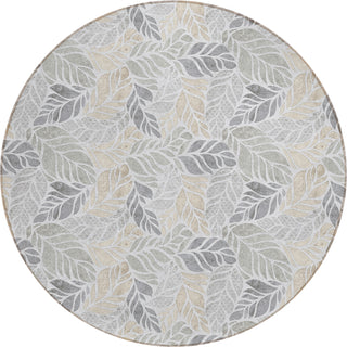 Dalyn Tropics TC3 Grey Area Rug