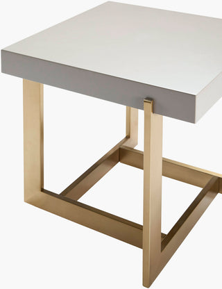 Surya Temy TEM-002 Gray / Metallic-Bronze Furniture Corner Shot