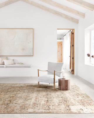 Loloi Theia THE-02 Taupe/Gold Area Rug Lifestyle Image Feature