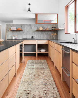 Loloi Theia THE-05 Taupe/Brick Area Rug Main Image