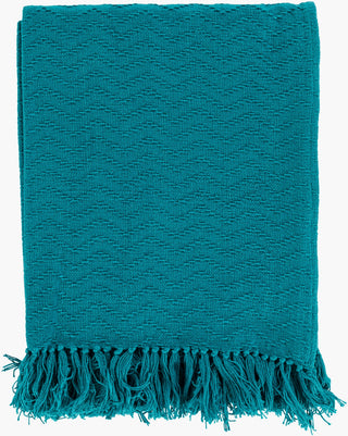 Livabliss Thelma THM-6005 Aqua Throw main image