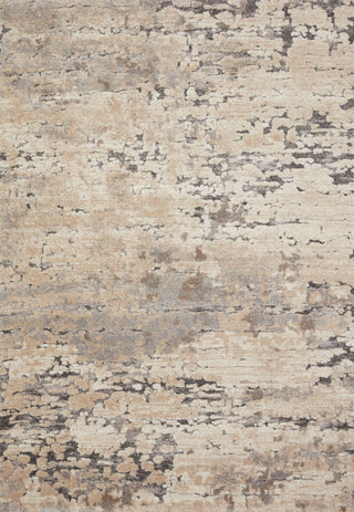 Loloi Theory THY-08 Taupe / Grey Area Rug main image