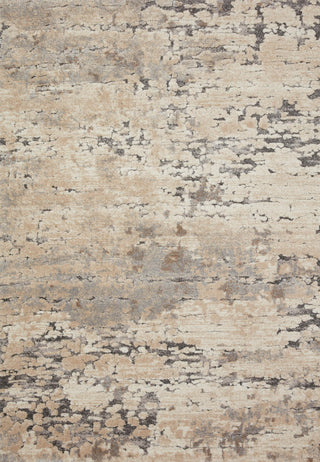 Loloi Theory THY-08 Taupe / Grey Area Rug Main Image