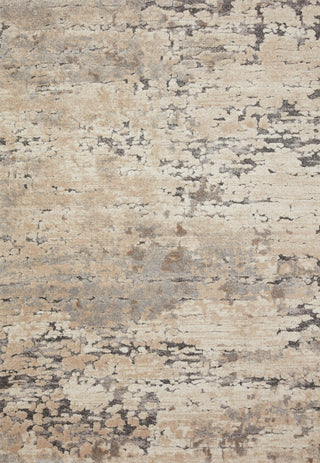 Loloi Theory THY-08 Taupe / Grey Area Rug main image