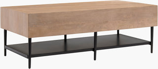 Surya Timo TIMO-001 Brown / Black Furniture main image