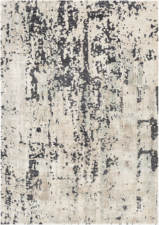 Surya Talise TLE-1009 Area Rug main image