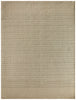 Nourison Tulum TLM01 Taupe Area Rug Main Image